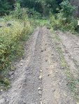 IMG_2216.jpeg