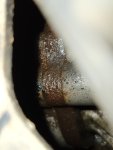 20231015_113643.jpg
