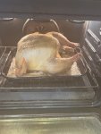 IMG_6241.jpeg