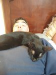 Nap_time.jpg Nap_time.jpg
