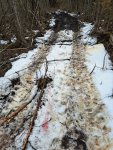 20240302_114622[1].jpg