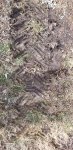 20210108_120701.jpg