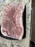 IMG_2382.jpeg