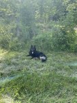 IMG_2994.jpeg