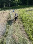 IMG_2995.jpeg