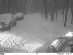 snow4.jpg