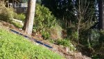 20150326_175525.jpg
