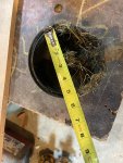 IMG_9024.jpeg