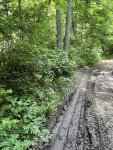 IMG_4418.jpeg