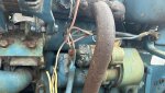 IMG_6345.jpeg