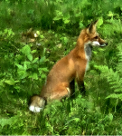 20230805_064034.png