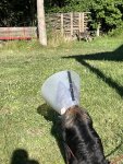 IMG_3211.jpeg