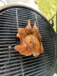 IMG_3019.jpeg