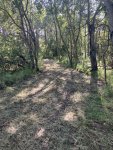 IMG_1787.jpeg