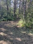 IMG_1788.jpeg