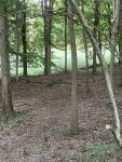 IMG_3378.jpeg