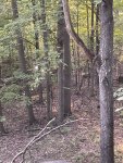 IMG_3379.jpeg