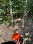 IMG_3388.jpeg