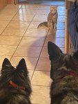 IMG_3409.jpeg