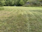IMG_0090.jpeg
