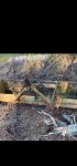 IMG_0413.jpeg