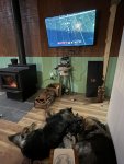 IMG_3586.jpeg