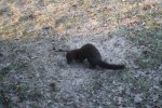 Copy of IMG_0590.jpg