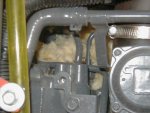 mouse_nest.jpg