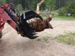 Grapple 8.jpg