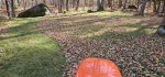 20241026_120915.jpg