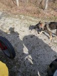 IMG_3695.jpeg