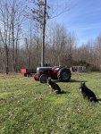 IMG_3699.jpeg