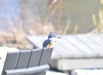 _DSC1813.JPG _DSC1813.JPG