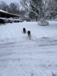 IMG_3940.jpeg
