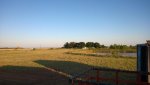 WP_20150602_007.jpg