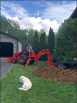 dig1.JPG