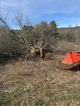 IMG_5727.jpeg