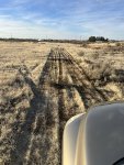 IMG_4023.JPEG