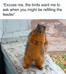 jBirdFeeder.jpg