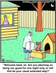 jDogHouse.jpg