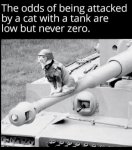 IMG_3969.jpeg