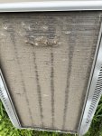 IMG_4197.jpeg
