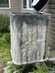 IMG_4199.jpeg