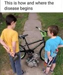 1748276929424.jpeg