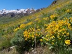 P1012951erorngtrct5-26-25.jpg