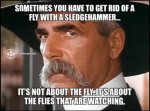 flies.JPG