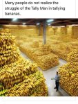 4904791178326210151.jpeg