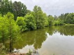IMG_0500.JPG