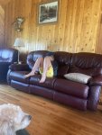 IMG_9065.jpeg