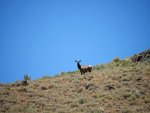 P1014108erorngtrctr6-29-25.jpg